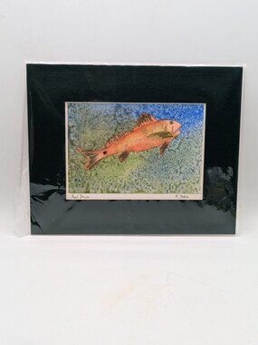 Original Watercolor Painting Signed Fish Artwork Red Drum M Steele Matted 8x10